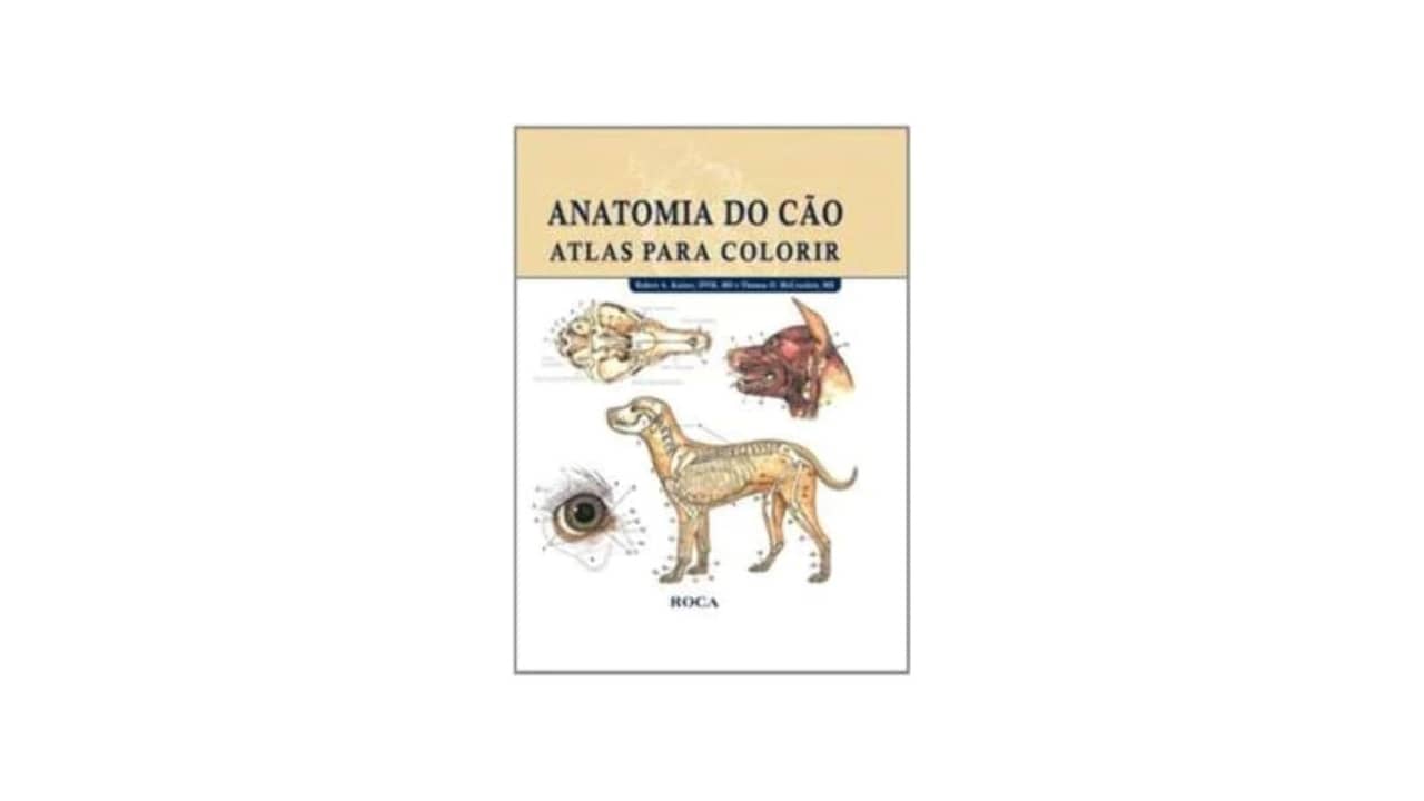 Atlas de Anatomia é Bom Mesmo? As 7 Melhores Opções