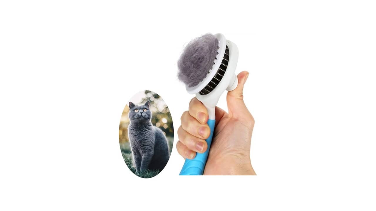 Escova para Gato é Bom Mesmo? As 10 Melhores Opções Autolimpantes