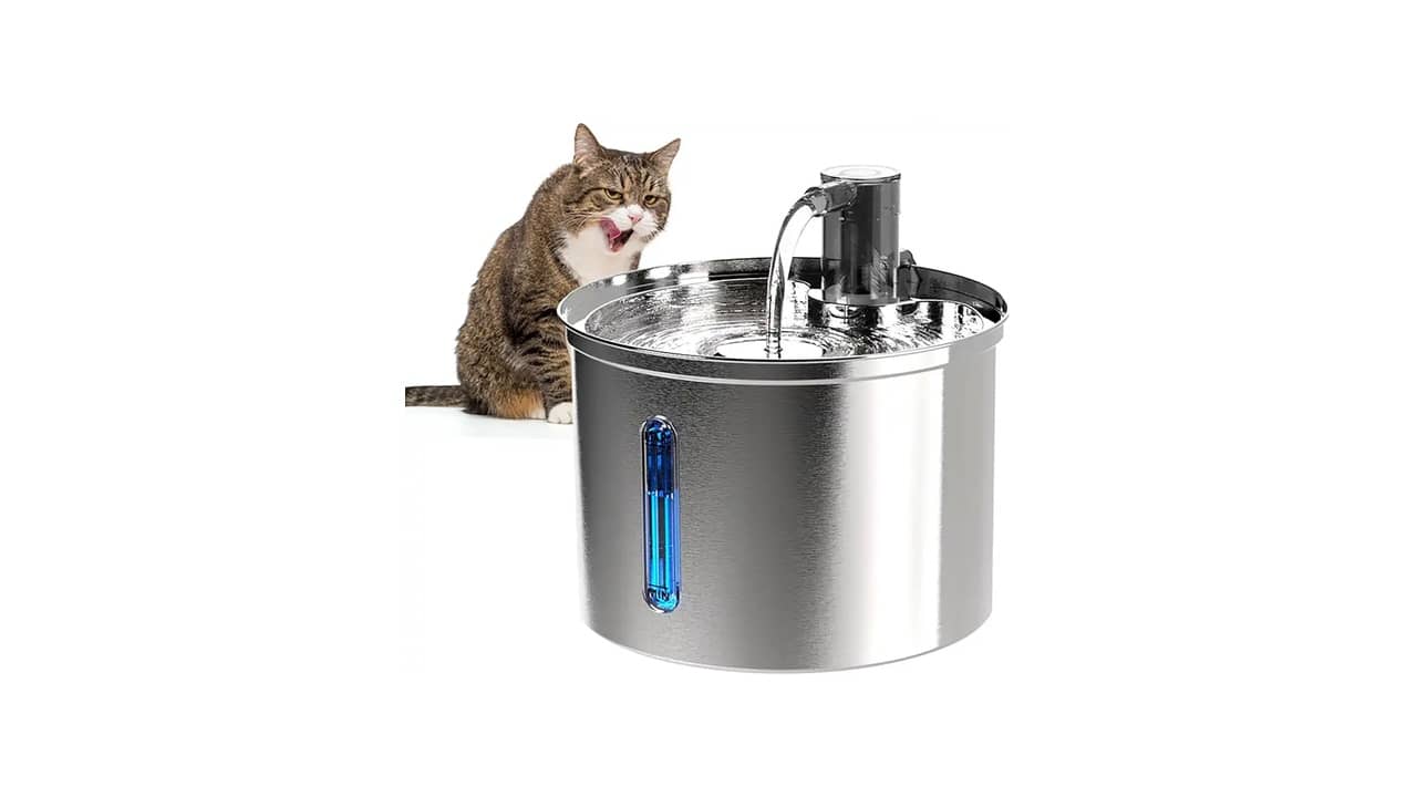 Fonte de Água Automática para Gato é Bom Mesmo? As 10 Melhores Opções Analisadas