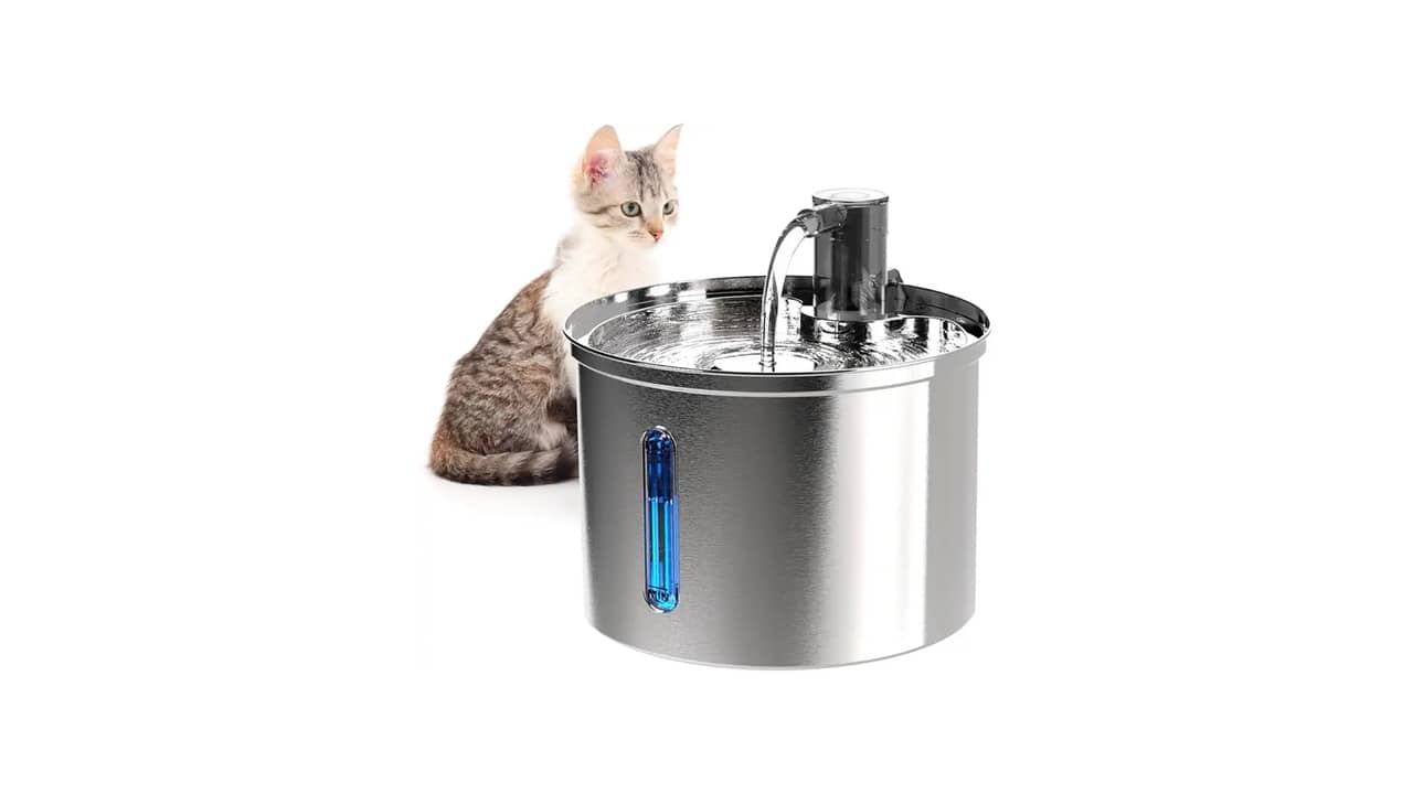 Fonte de Água para Gatos é Bom Mesmo? As 10 Melhores Opções Analisadas