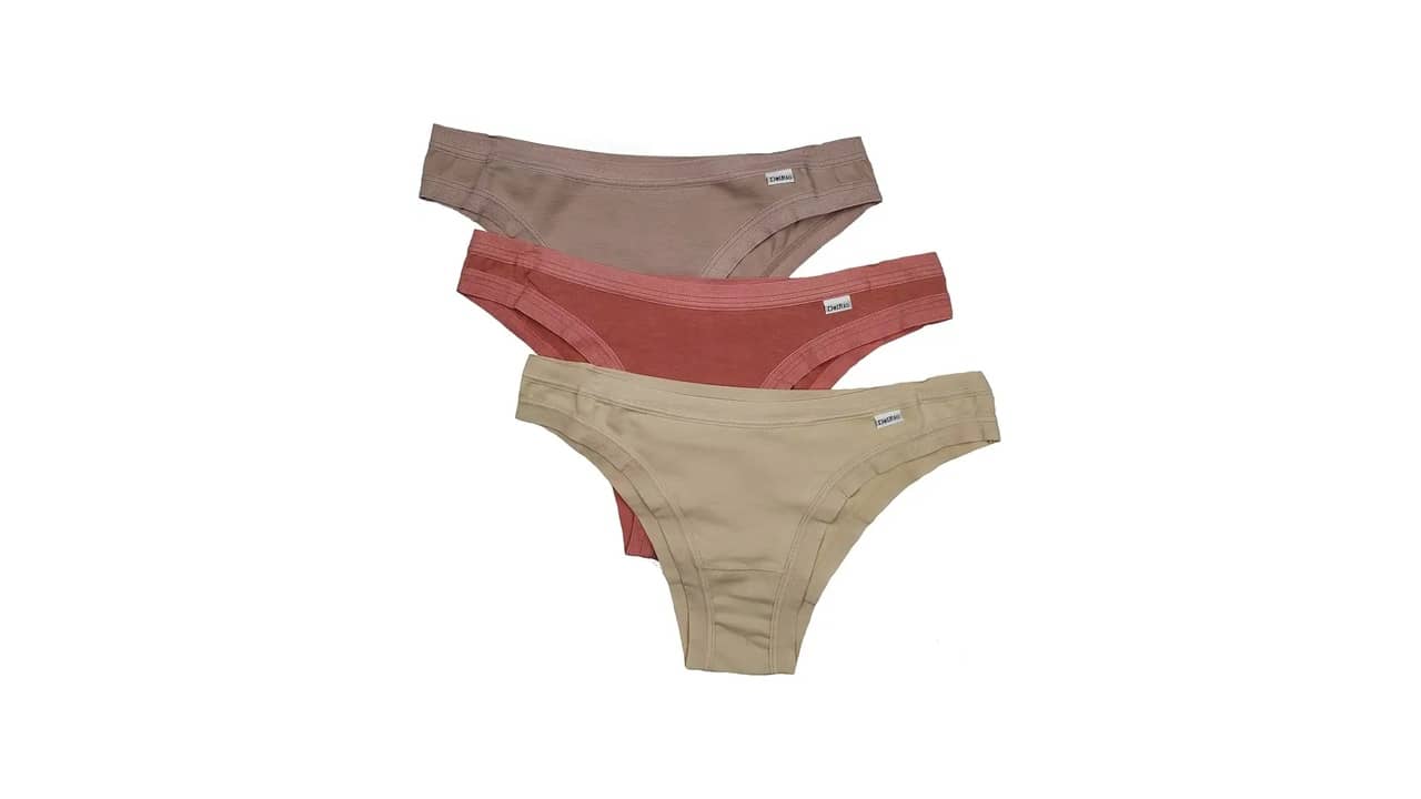 Marcas de Roupas Íntimas Femininas é Bom Mesmo? As 10 Melhores para Conversão