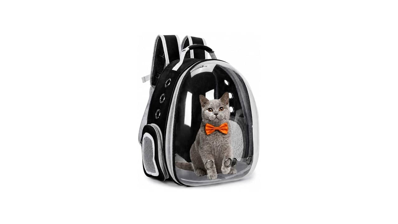 Mochila Transparente para Gato é Bom Mesmo? As 10 Melhores Opções