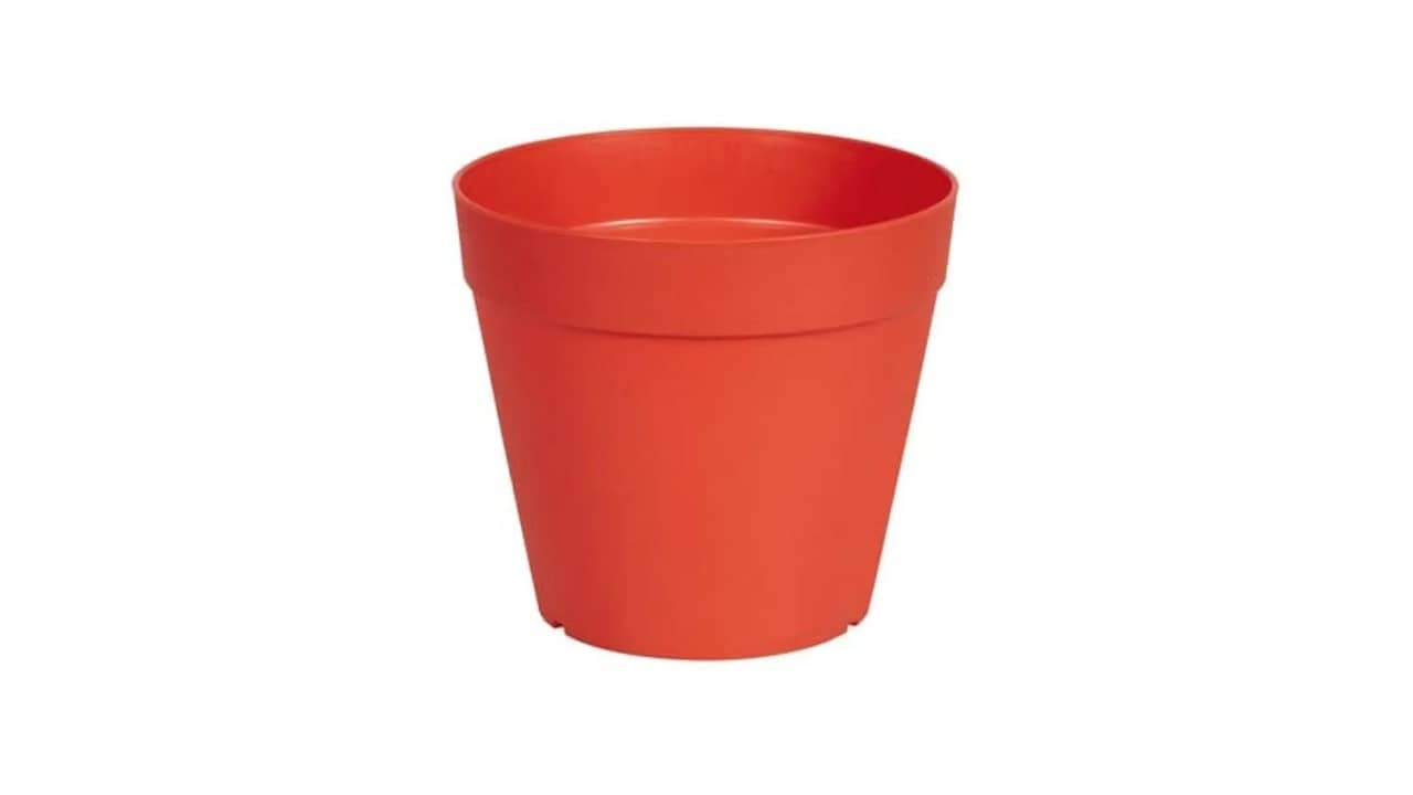 Vaso para Zamioculca é Bom Mesmo? As 7 Melhores Opções Decorativas